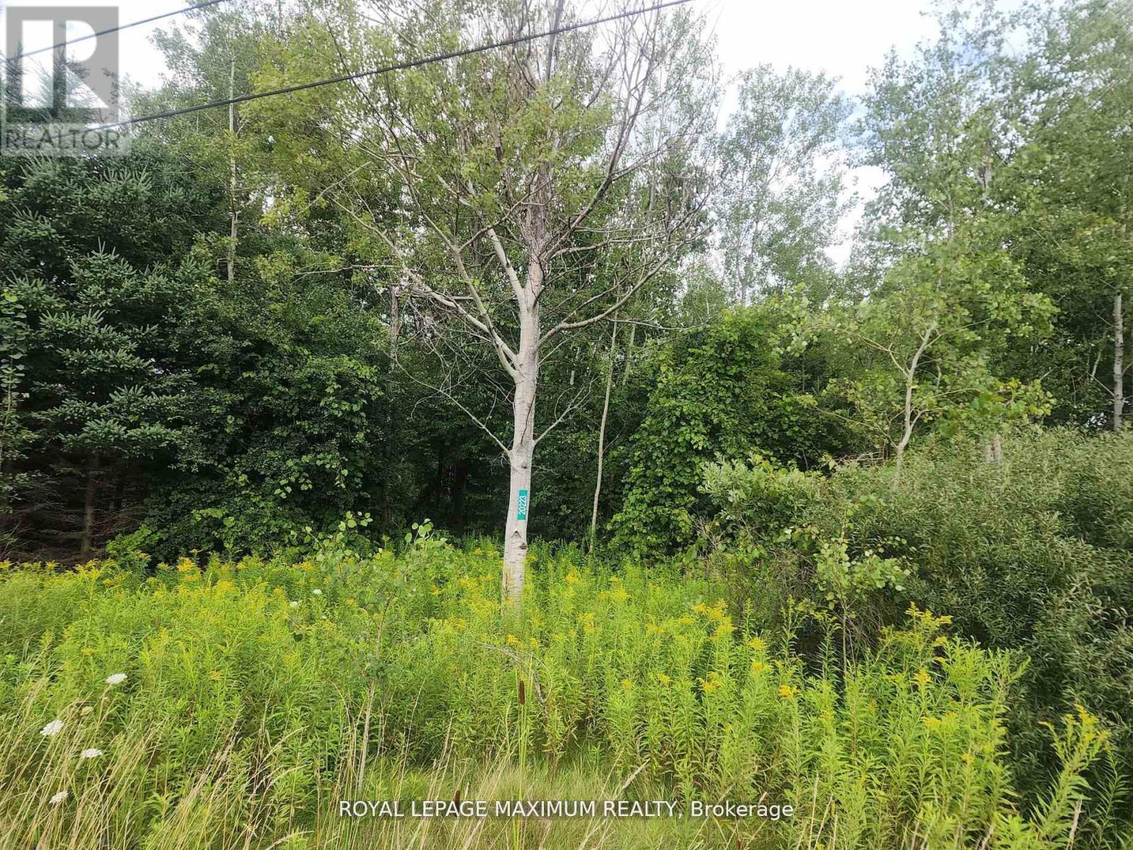 20223 Bathurst Street Property Photo 2