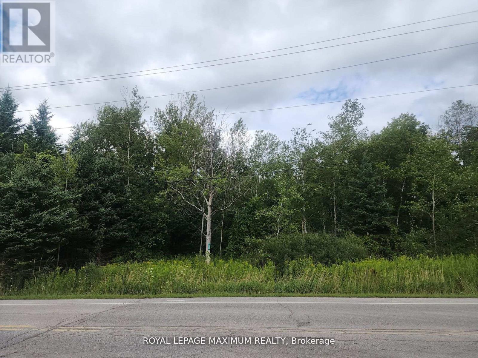 20223 Bathurst Street Property Photo 7