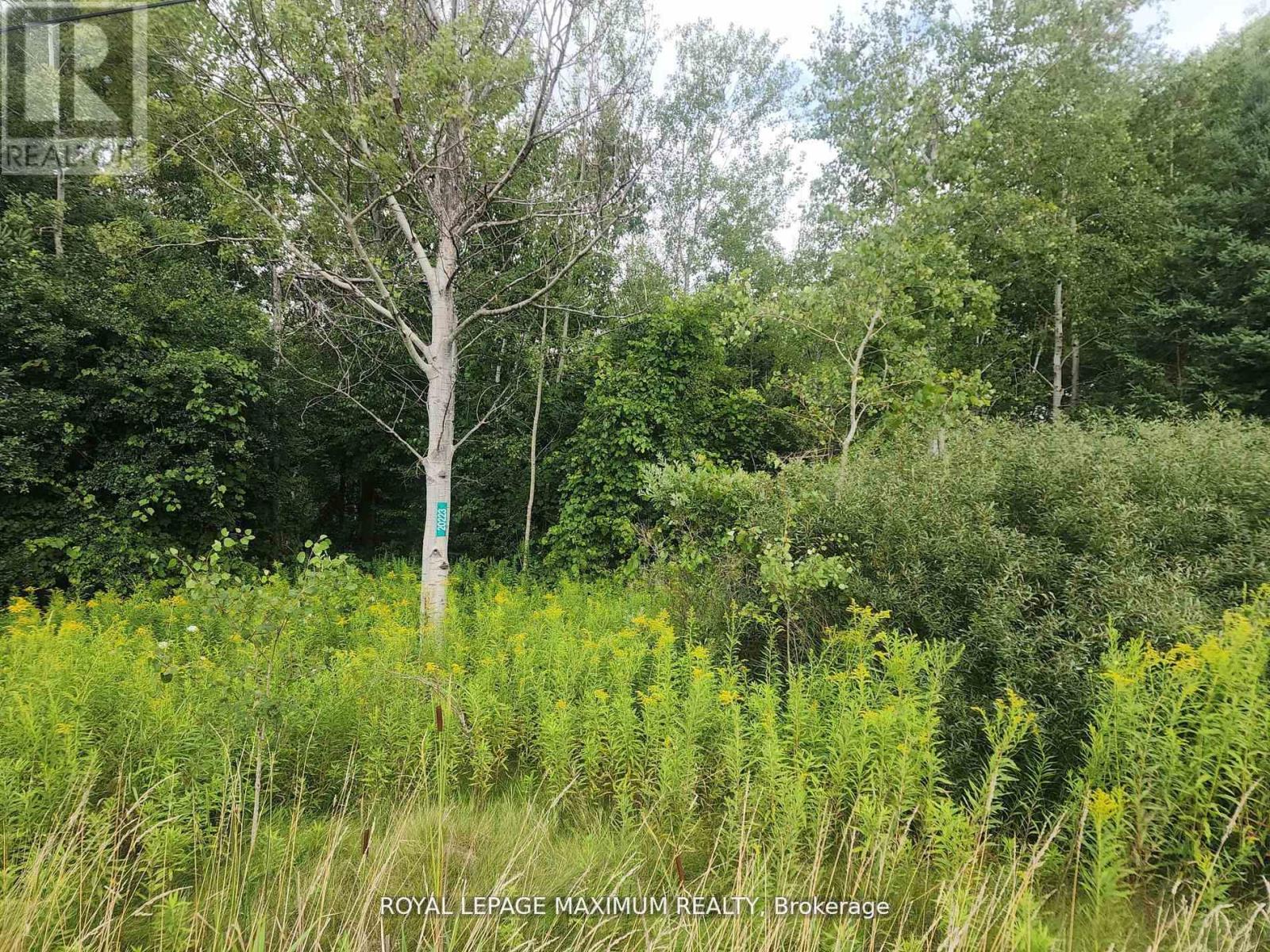 20223 Bathurst Street Property Photo 9