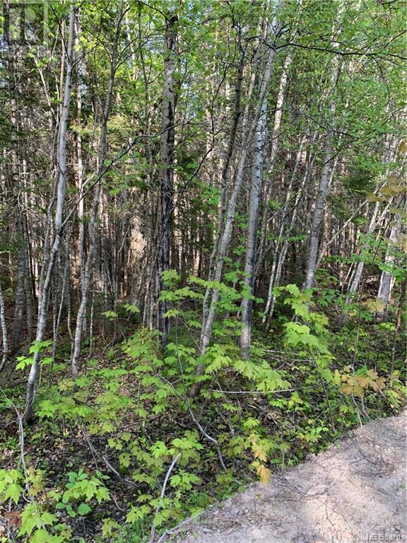Lot 83-14 David Rd Galloway Property Photo 2