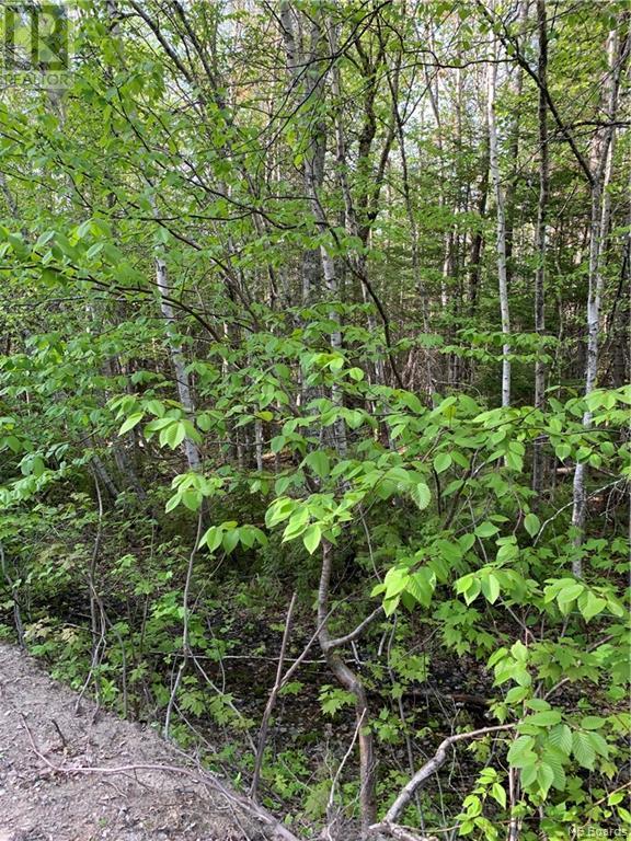 Lot 83-15 David Rd Galloway Property Photo 2