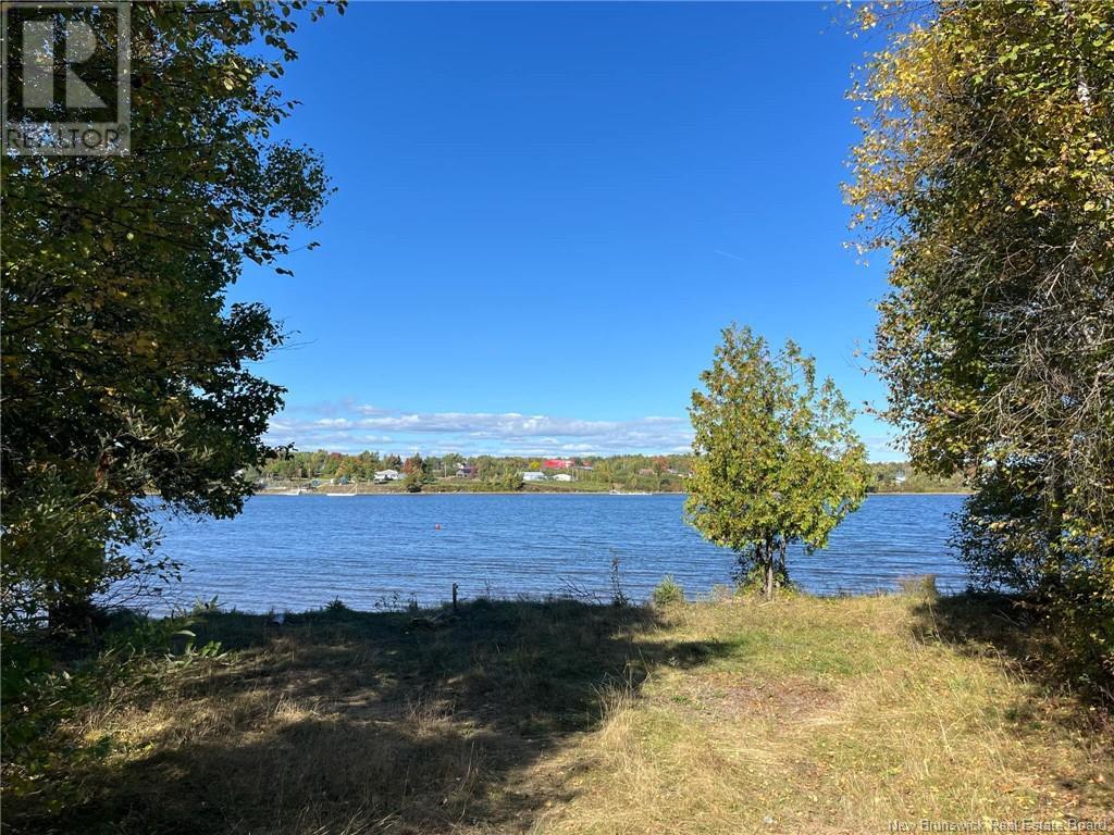 5.6 Acres Rte 420 Property Photo 3