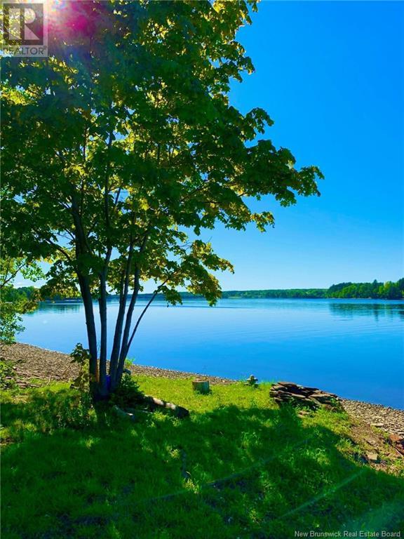 5.6 Acres Rte 420 Property Photo 7