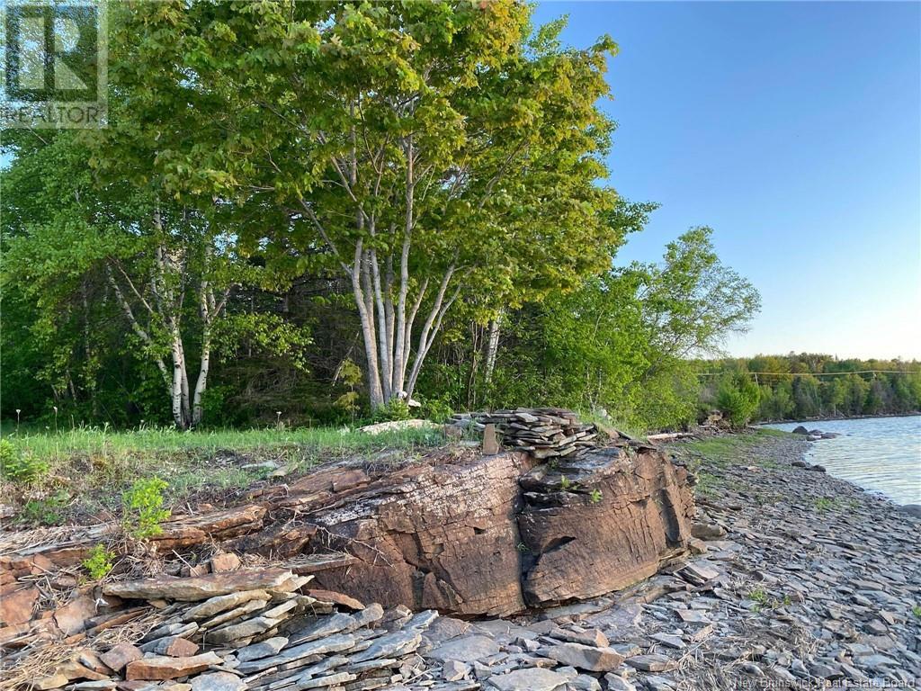 5.6 Acres Rte 420 Property Photo 9