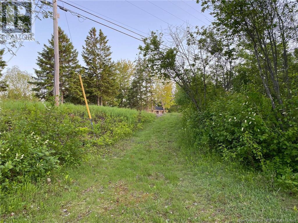 5.6 Acres Rte 420 Property Photo 12