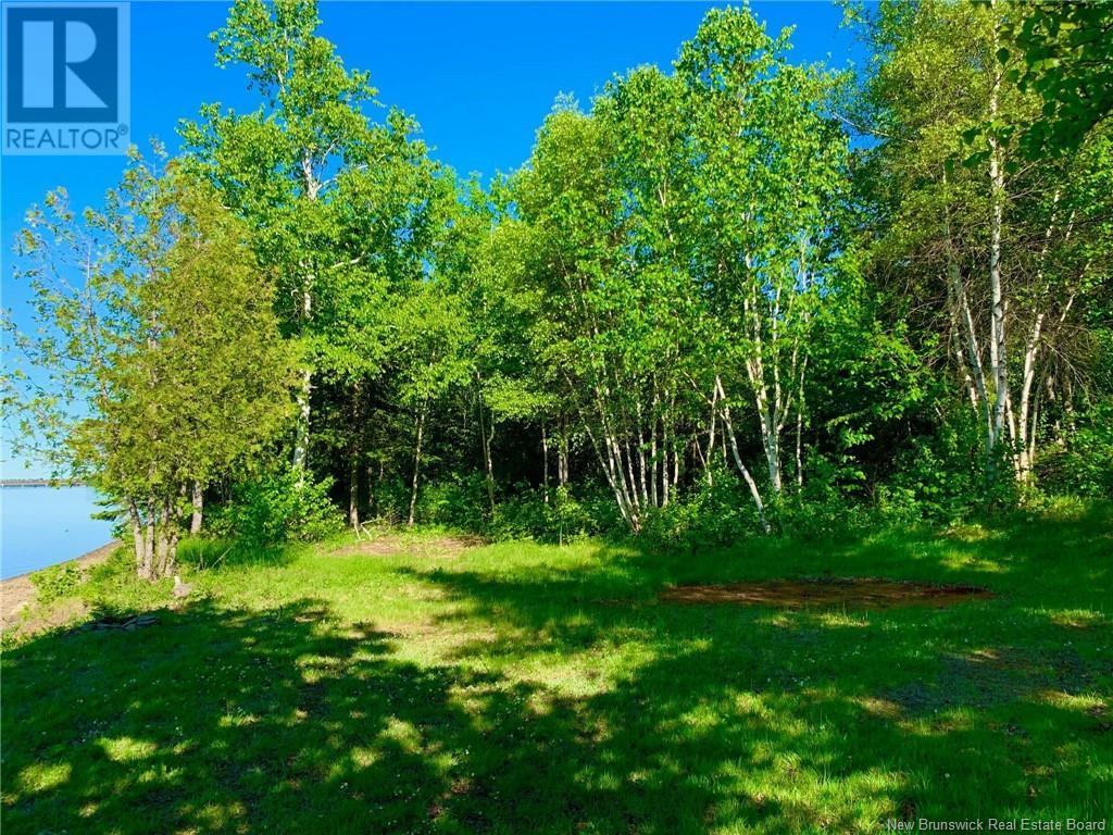 5.6 Acres Rte 420 Property Photo 13
