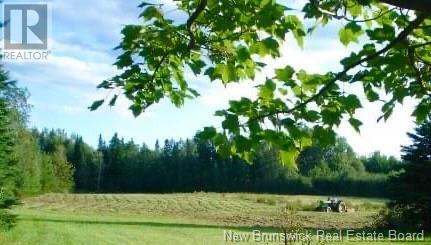 5.6 Acres Rte 420 Property Photo 16