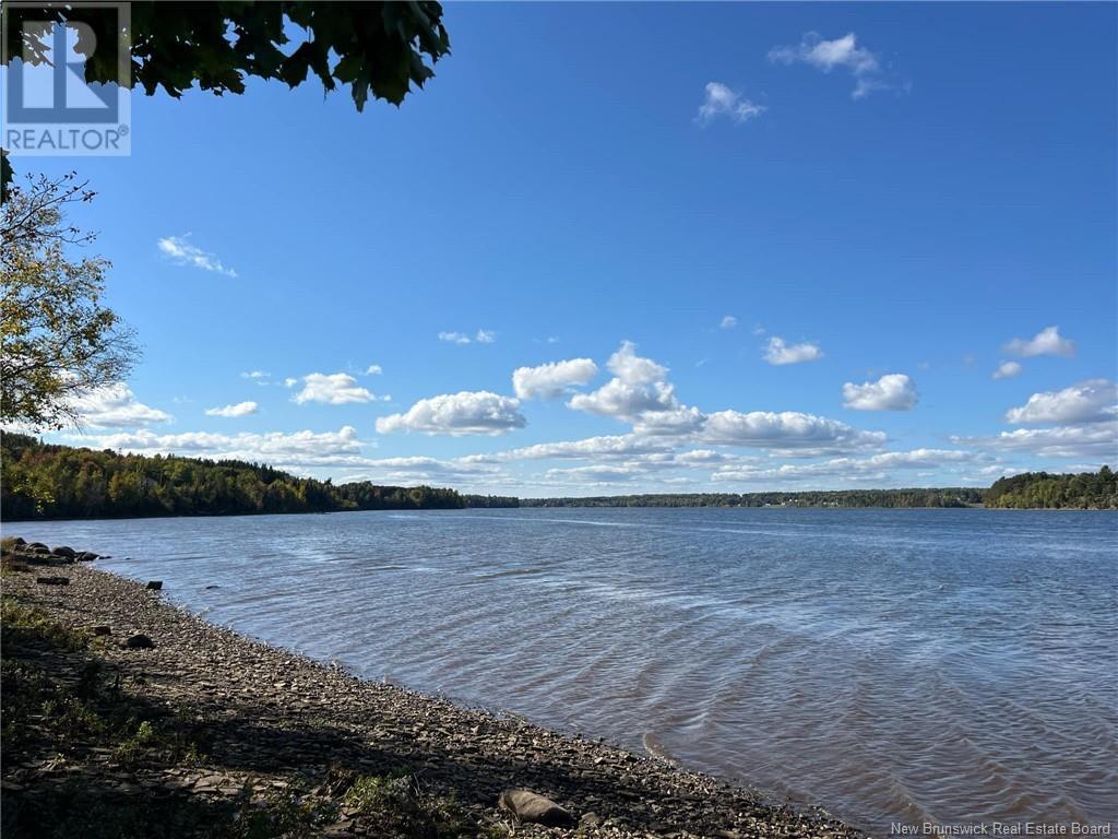 5.6 Acres Rte 420 Property Photo 19