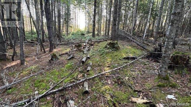 Lot Bantalor Road Property Photo 2
