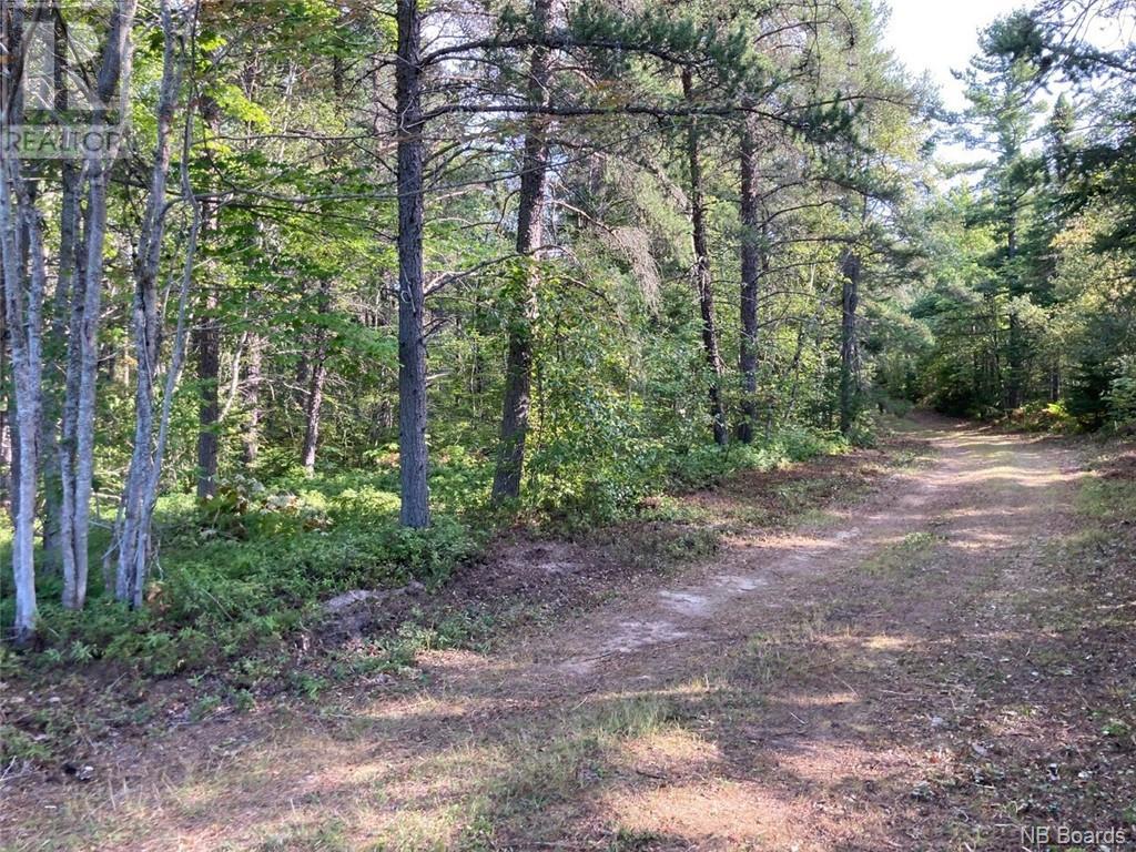 8.37 Acres Chemin Pointe À Tom Property Photo 2