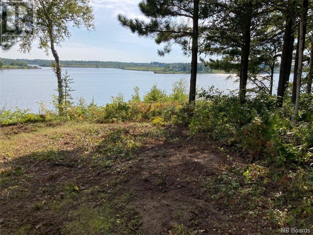 8.37 Acres Chemin Pointe À Tom Property Photo 4