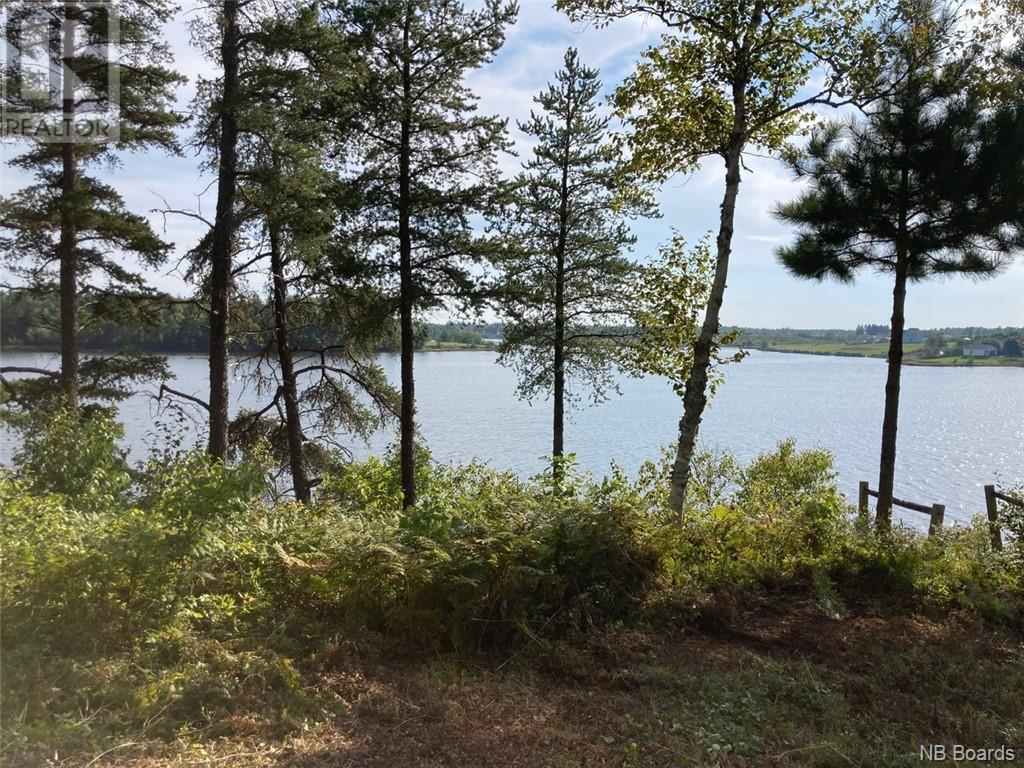 8.37 Acres Chemin Pointe À Tom Property Photo 5