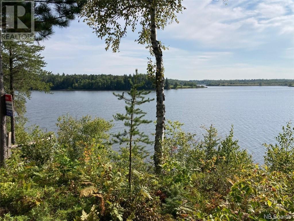 8.37 Acres Chemin Pointe À Tom Property Photo 6