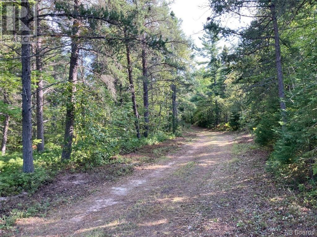 8.37 Acres Chemin Pointe À Tom Property Photo 17
