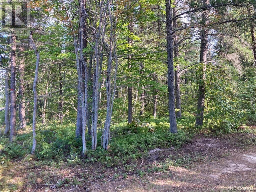 8.37 Acres Chemin Pointe À Tom Property Photo 18