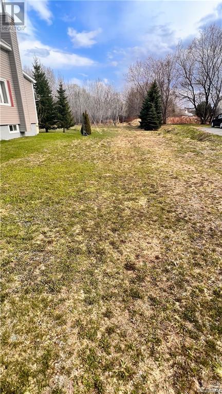 174 Dumaresq Property Photo 6