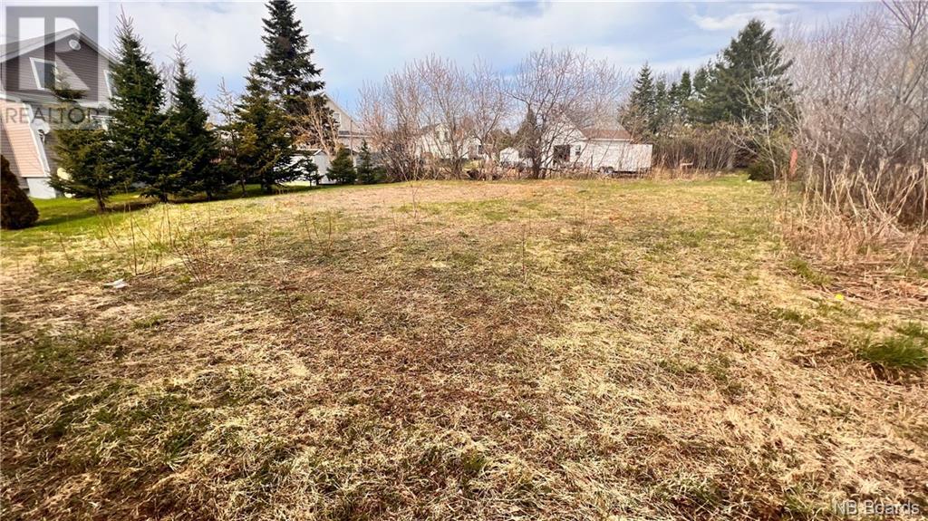 174 Dumaresq Property Photo 8