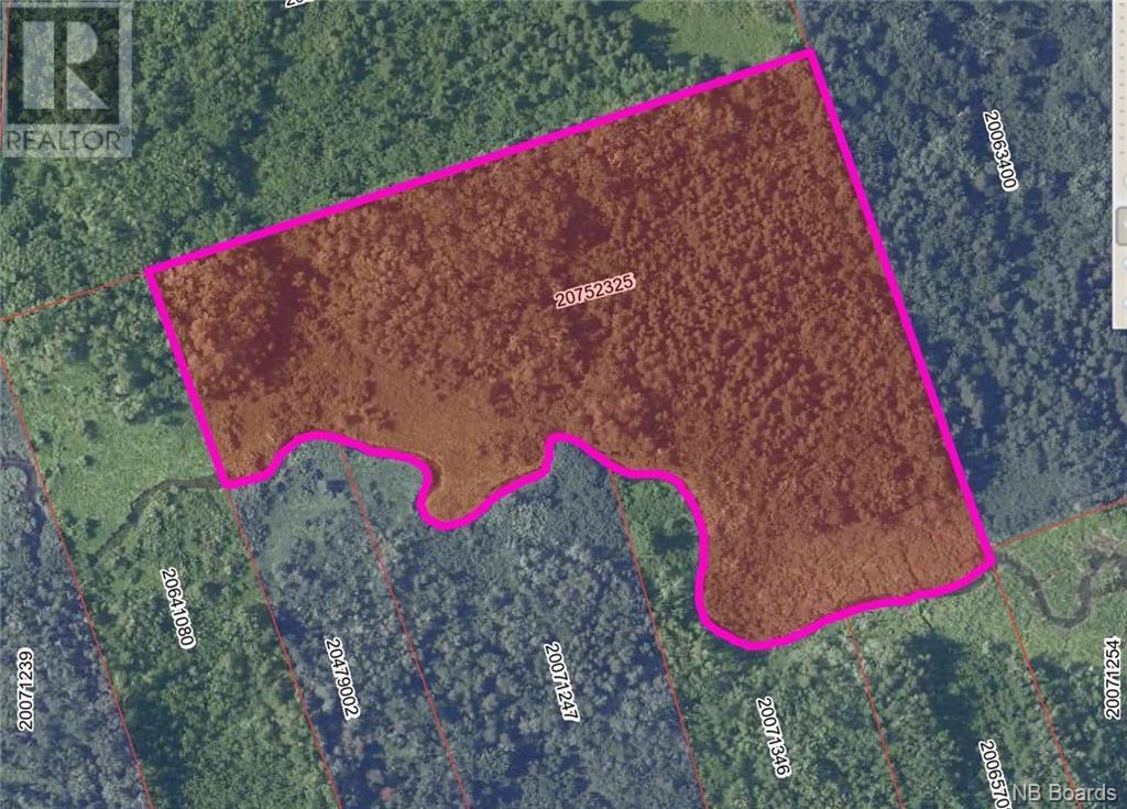Lot Rte 355 Property Photo 1