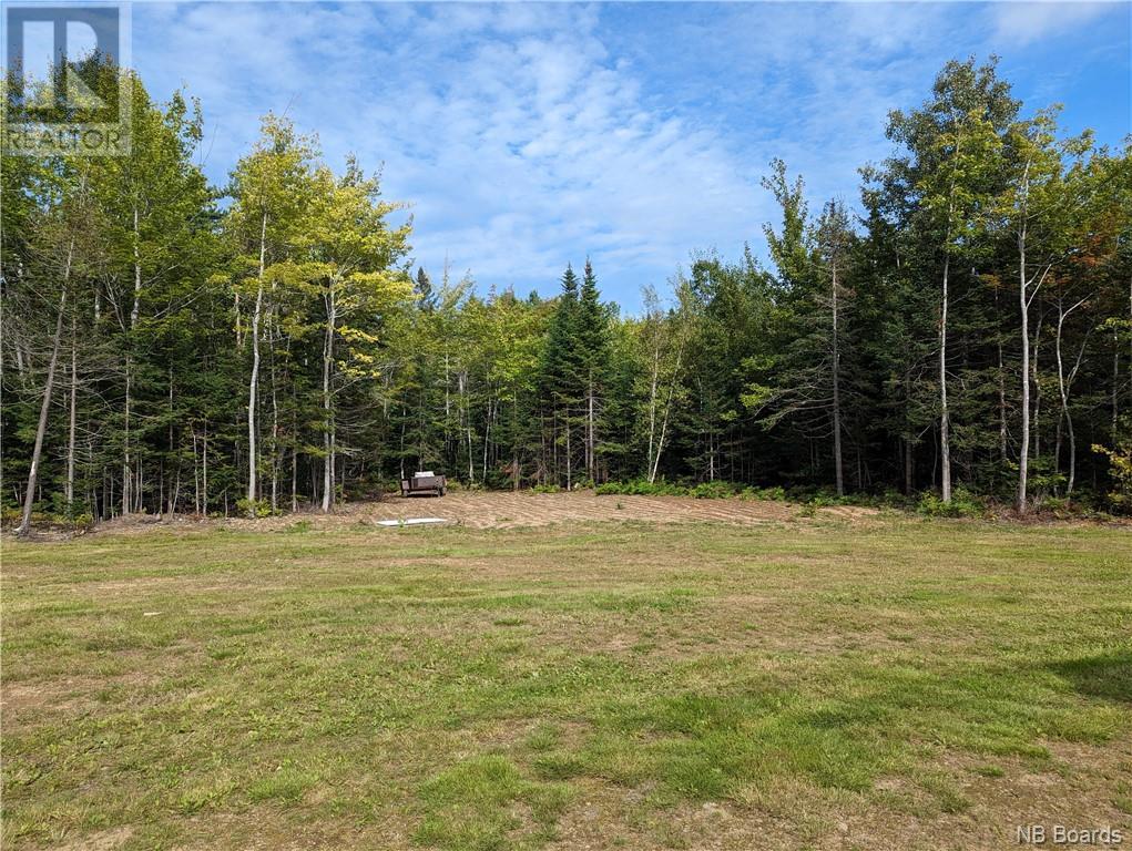 1050 Rivière À La Truite Property Photo 21