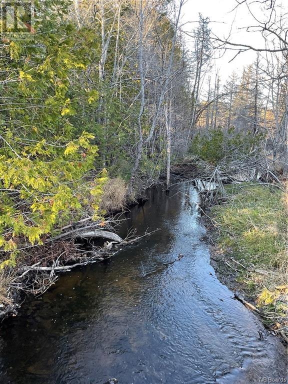 1050 Rivière À La Truite Property Photo 22