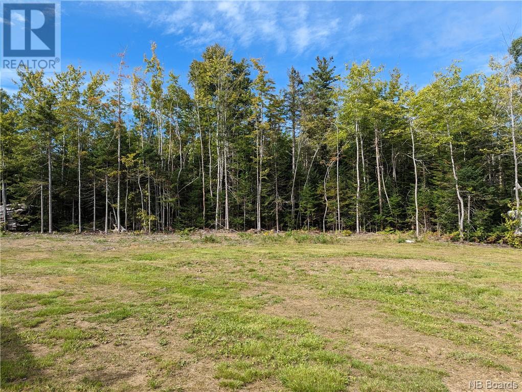 1050 Rivière À La Truite Property Photo 27