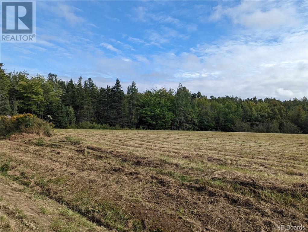 1050 Rivière À La Truite Property Photo 28
