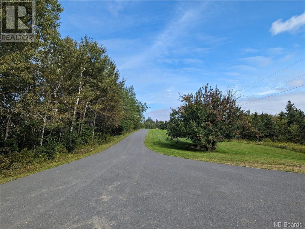 1050 Rivière À La Truite Property Photo 43