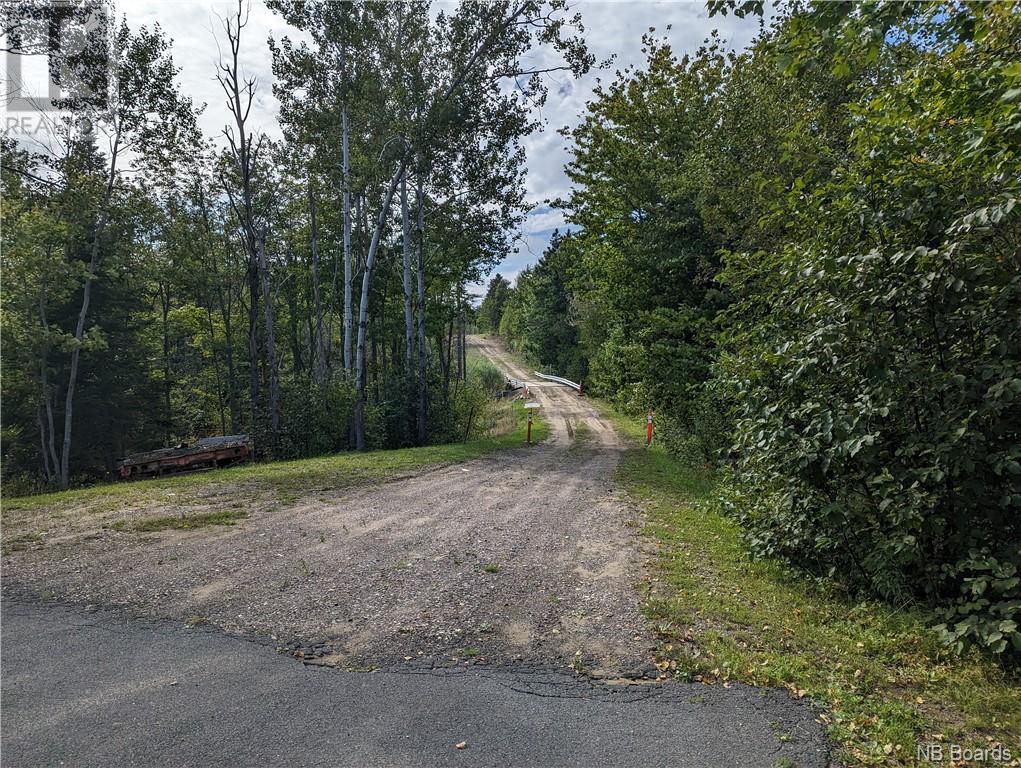 1050 Rivière À La Truite Property Photo 44
