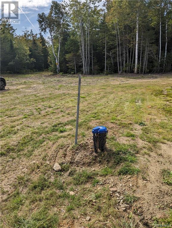 1050 Rivière À La Truite Property Photo 45