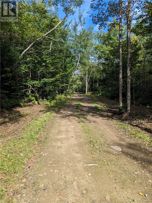 1050 Rivière À La Truite Property Photo 46