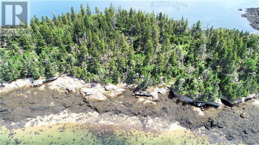 Spruce Island Property Photo 6