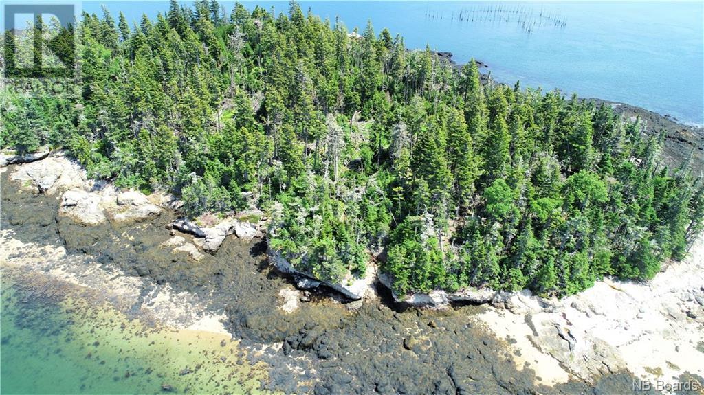 Spruce Island Property Photo 7