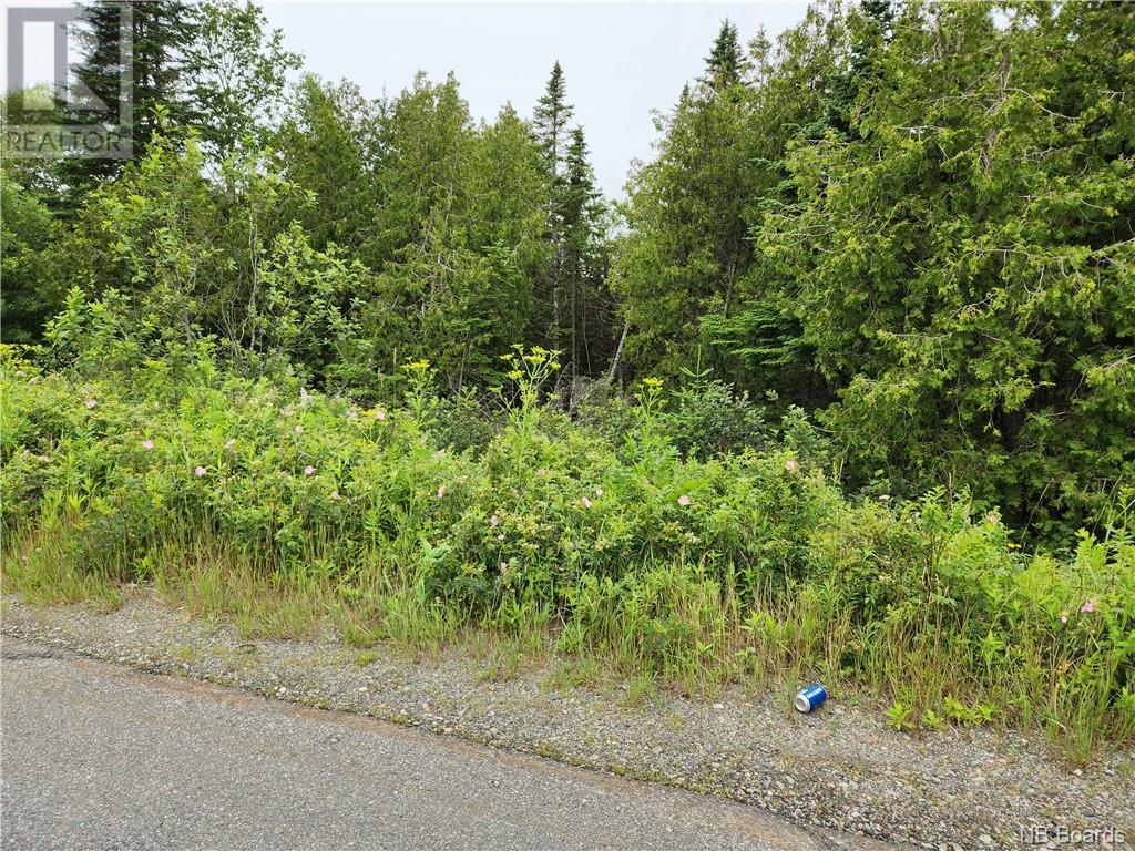 Hickey Road Property Photo 3