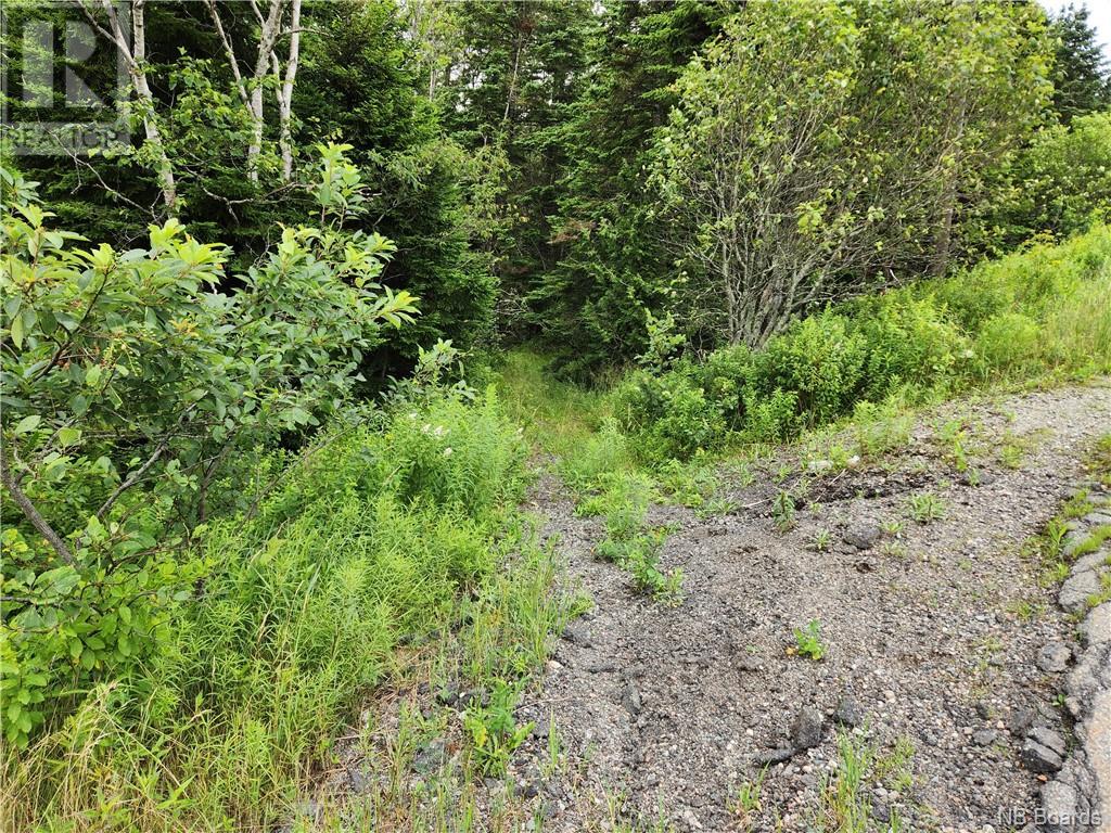 Hickey Road Property Photo 5