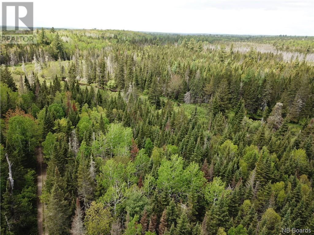 Lot A Canoose Stream Road Property Photo 17