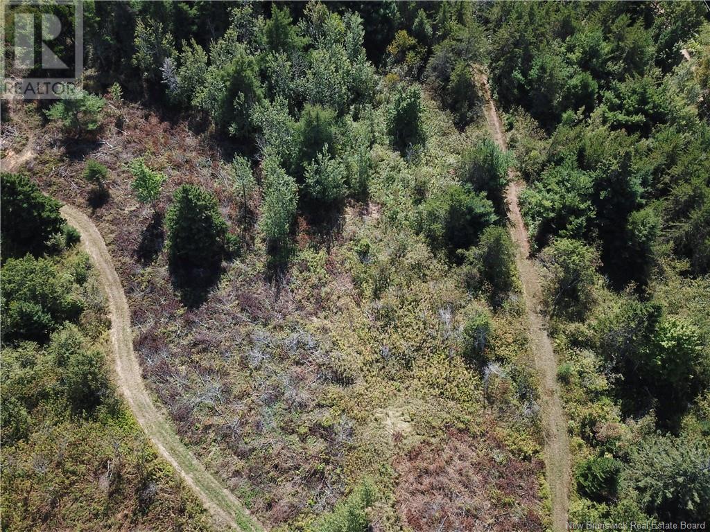 Lot Olivier Road Property Photo 24