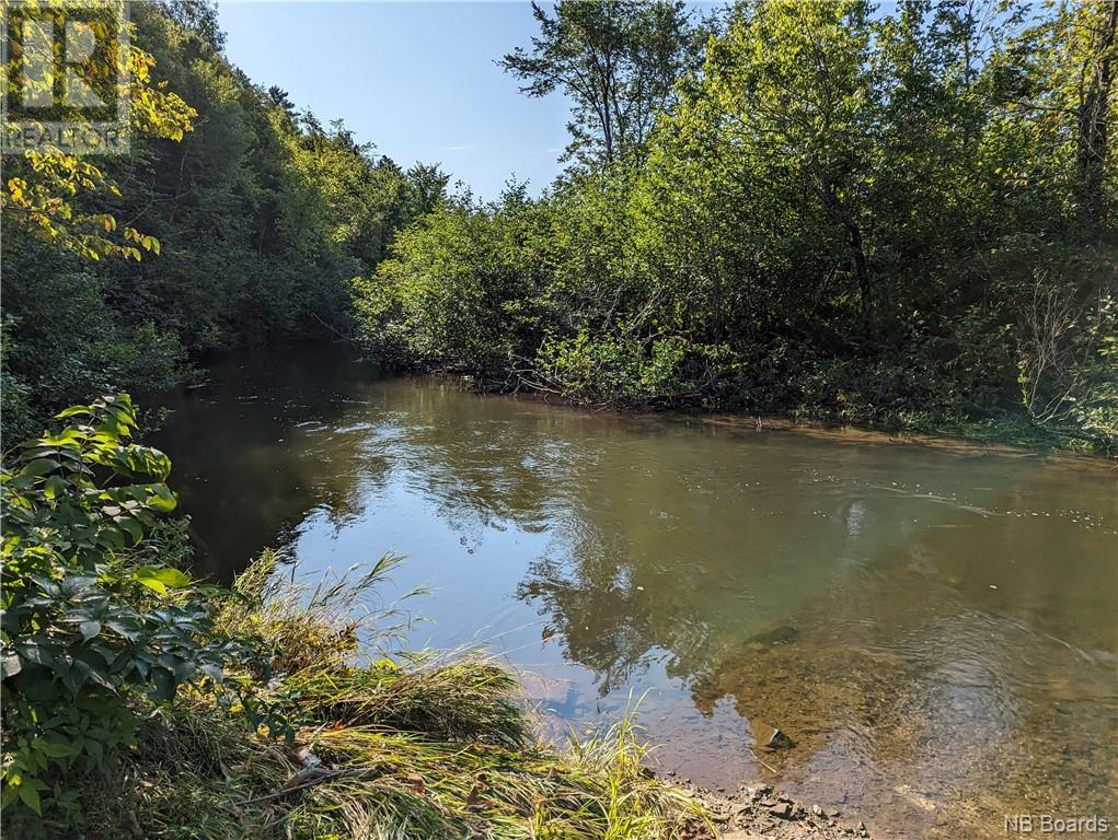 Lot 5 Rte 355 Property Photo 2