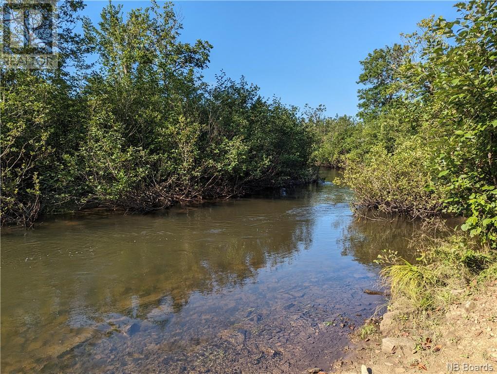 Lot 5 Rte 355 Property Photo 3