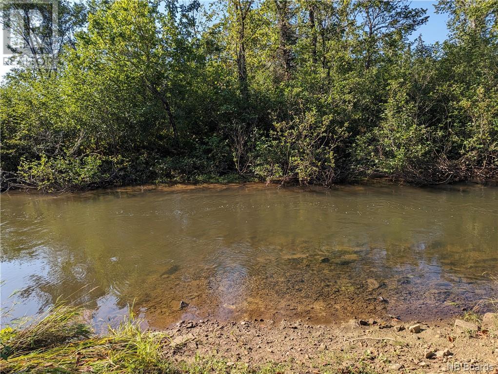 Lot 5 Rte 355 Property Photo 4