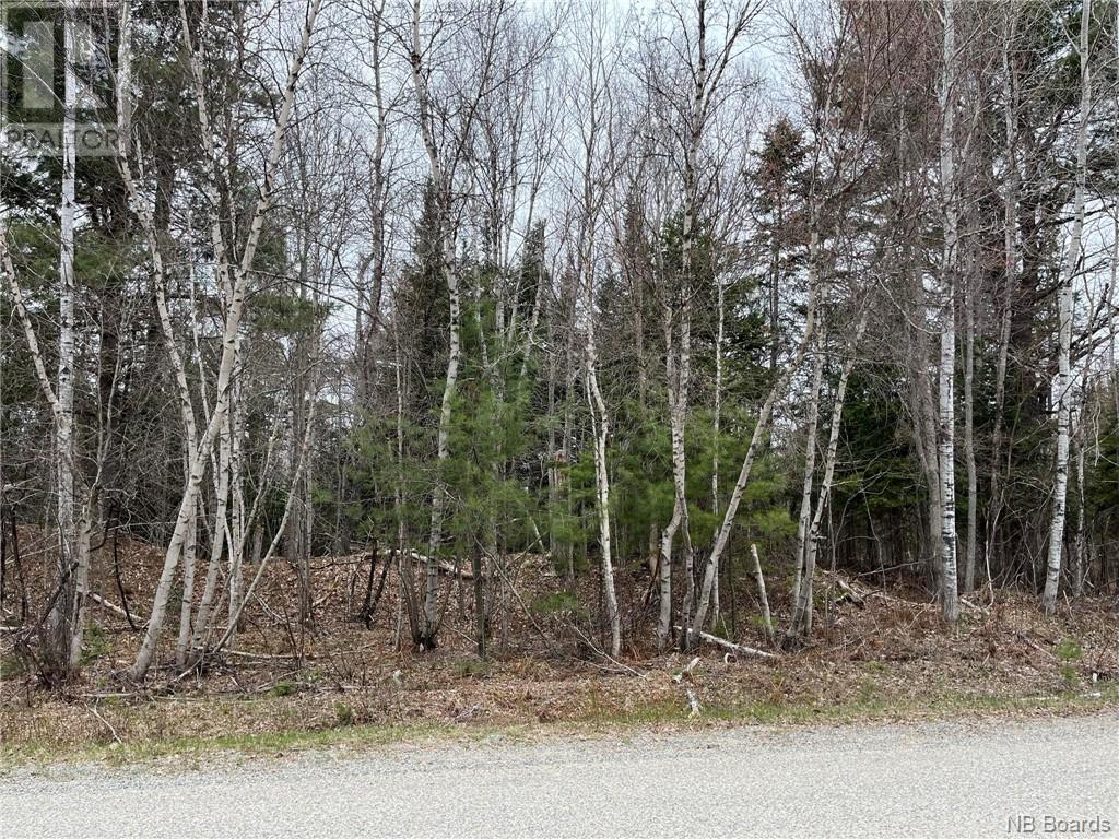 1.5 Acres Hambrook Road Property Photo 3