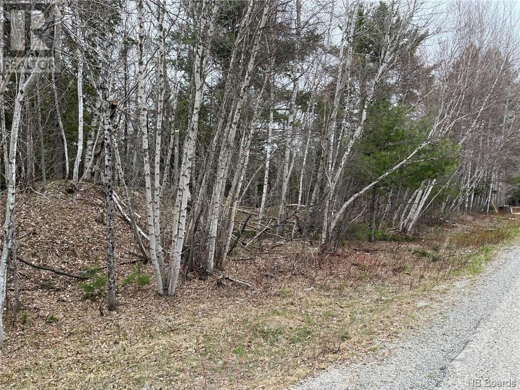 1.5 Acres Hambrook Road Property Photo 4