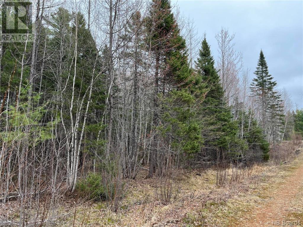 1.5 Acres Hambrook Road Property Photo 5