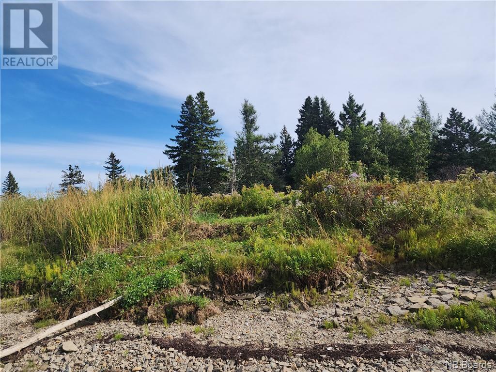 124 Acres Route 117 Property Photo 8