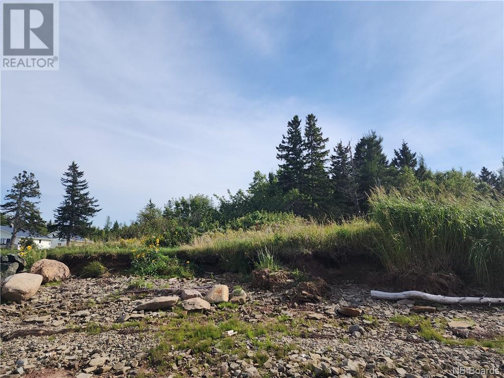 124 Acres Route 117 Property Photo 10