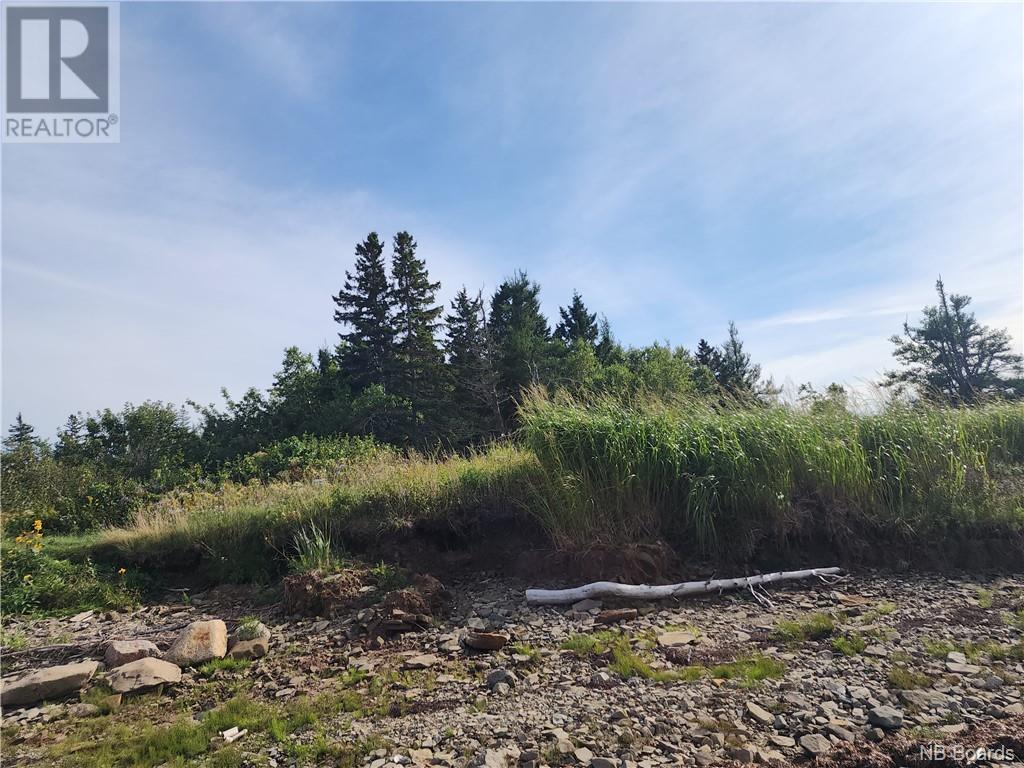 124 Acres Route 117 Property Photo 12