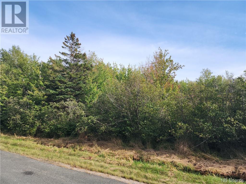 124 Acres Route 117 Property Photo 14
