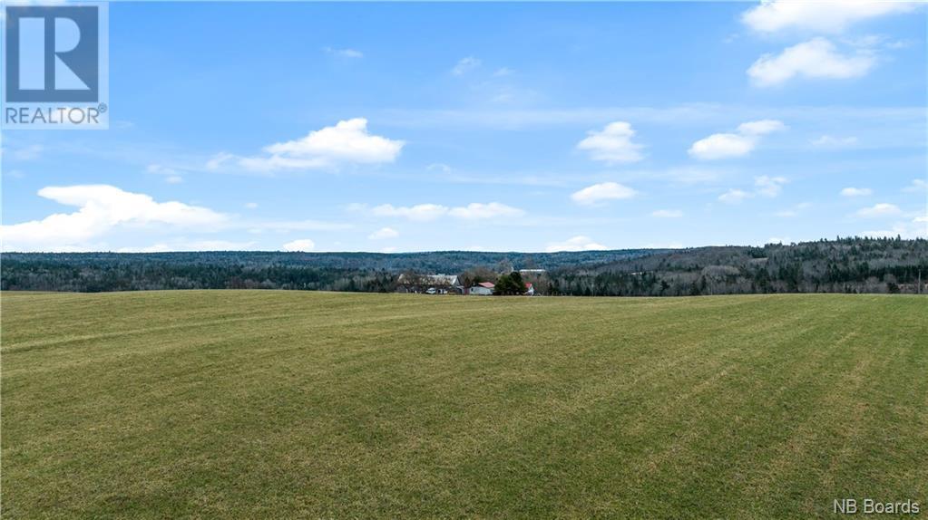 689 Carpenter Bald Hill Road Property Photo 7