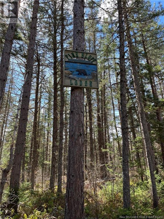 Camp Hwy 123 Property Photo 6