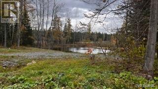 Route 17 Property Photo 5