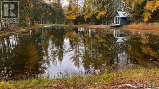 Route 17 Property Photo 13